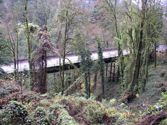 11.13.05 Arboretum-Pittock Mansion-Macleay Park 032 